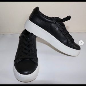 Steve Madden Bertie Sneakers